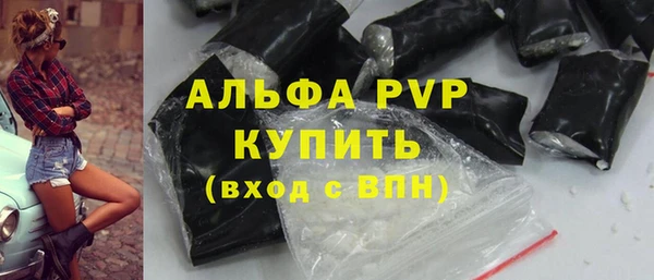 спиды Лагань