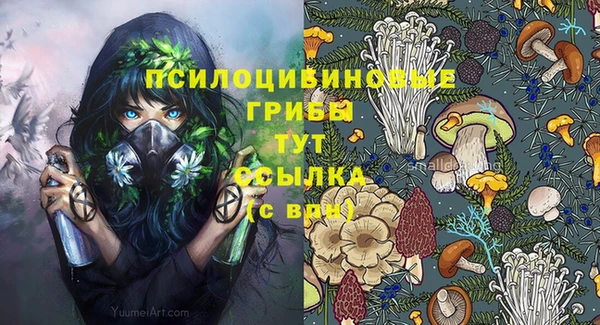Альфа ПВП Лабытнанги