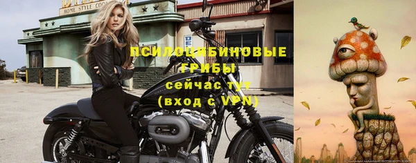 спиды Лагань