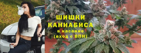 Альфа ПВП Лабытнанги