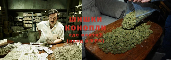 индика Липки