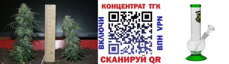 Купить где  Аша  Дистиллят ТГК концентрат 