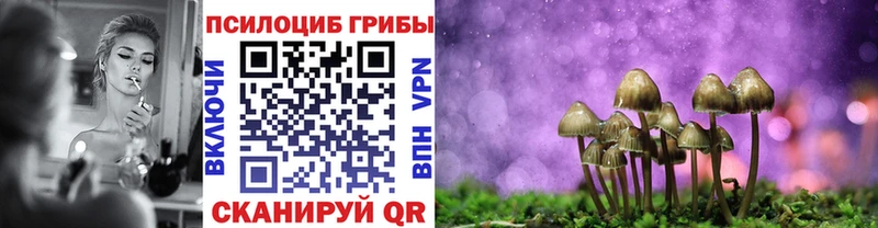Купить закладки  Аша  Псилоцибиновые грибы Psilocybine cubensis 